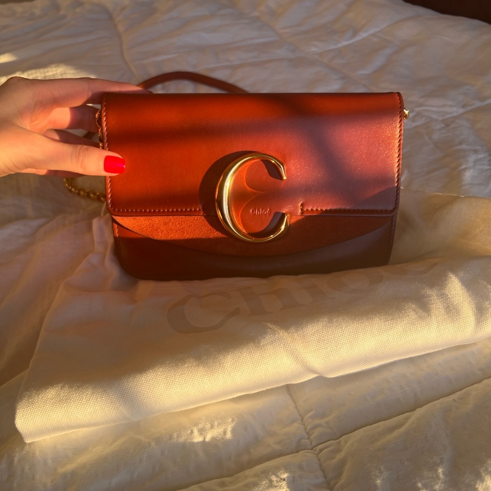 Chloé Mini C Crossbody Bag